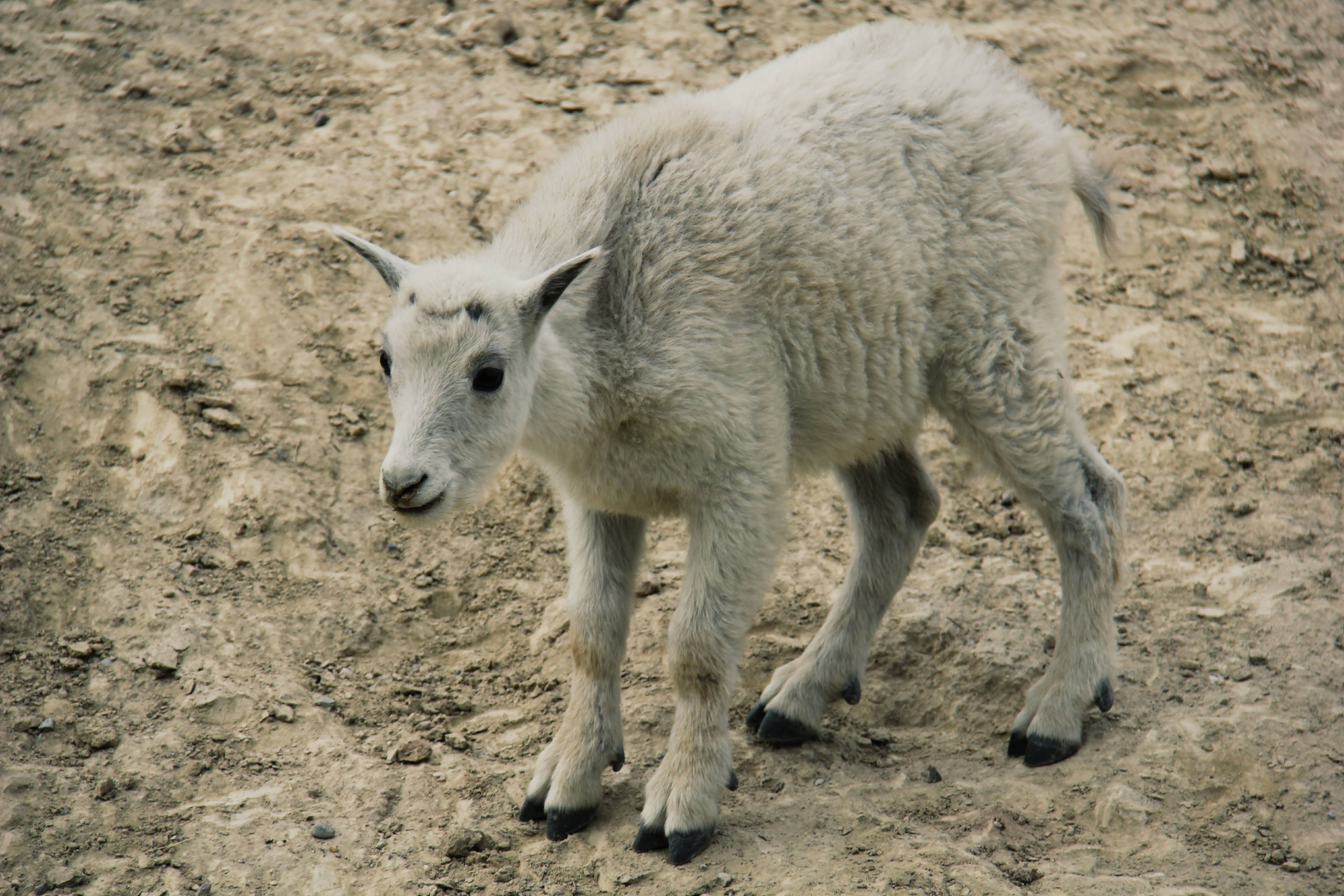 Canada and New York 2011 37